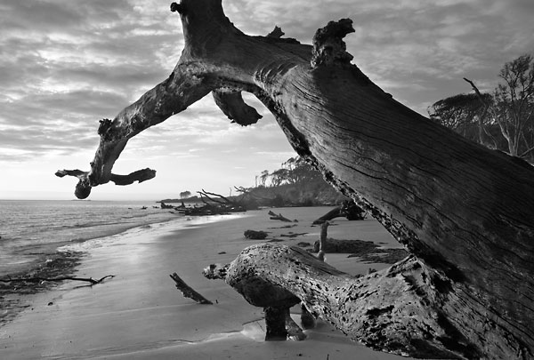 Big Talbot Sunrise 032504-A22-BW : Black and White : Will Dickey Florida Fine Art Nature and Wildlife Photography - Images of Florida's First Coast - Nature and Landscape Photographs of Jacksonville, St. Augustine, Florida nature preserves