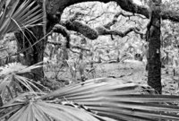 Photographs Copyright 2010 Will Dickey