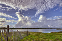 Photographs Copyright 2010 Will Dickey