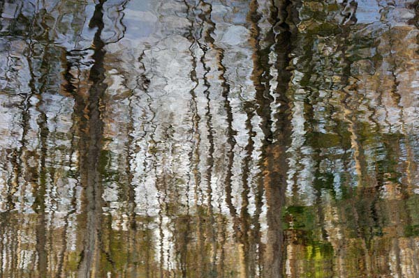 Julington Creek Reflections
123009-34 : Abstract Realities : Will Dickey Florida Fine Art Nature and Wildlife Photography - Images of Florida's First Coast - Nature and Landscape Photographs of Jacksonville, St. Augustine, Florida nature preserves