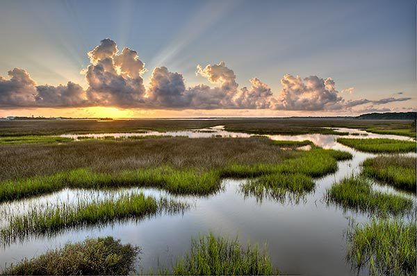 Round Marsh Sunrise
082411-175 : St. Johns River : Will Dickey Florida Fine Art Nature and Wildlife Photography - Images of Florida's First Coast - Nature and Landscape Photographs of Jacksonville, St. Augustine, Florida nature preserves