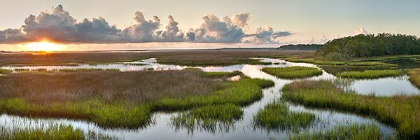Round Marsh Sunrise Pano
082411P : St. Johns River : Will Dickey Florida Fine Art Nature and Wildlife Photography - Images of Florida's First Coast - Nature and Landscape Photographs of Jacksonville, St. Augustine, Florida nature preserves