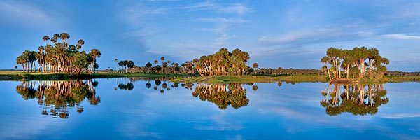 Econlockhatchee River Reflections
083011-187P : Panoramas and Cityscapes : Will Dickey Florida Fine Art Nature and Wildlife Photography - Images of Florida's First Coast - Nature and Landscape Photographs of Jacksonville, St. Augustine, Florida nature preserves