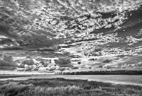 Apalachicola Bay 081010-0146BW : Black and White : Will Dickey Florida Fine Art Nature and Wildlife Photography - Images of Florida's First Coast - Nature and Landscape Photographs of Jacksonville, St. Augustine, Florida nature preserves