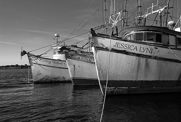 Mayport Shrimpboats
122208-17BW : Black and White : Will Dickey Florida Fine Art Nature and Wildlife Photography - Images of Florida's First Coast - Nature and Landscape Photographs of Jacksonville, St. Augustine, Florida nature preserves