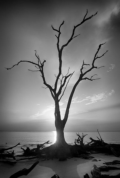 Big Talbot Sunrise
073012-106BW : Black and White : Will Dickey Florida Fine Art Nature and Wildlife Photography - Images of Florida's First Coast - Nature and Landscape Photographs of Jacksonville, St. Augustine, Florida nature preserves