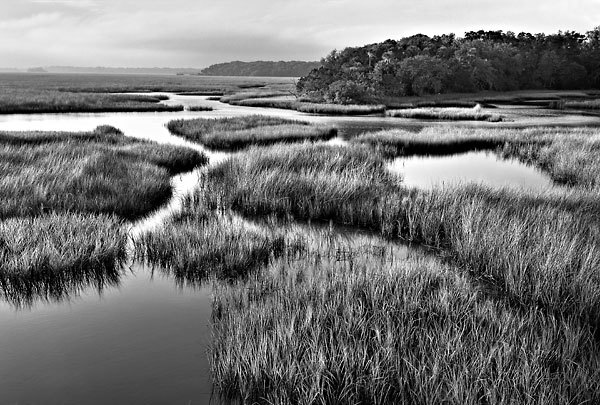 Round Marsh
081906-44BW : Black and White : Will Dickey Florida Fine Art Nature and Wildlife Photography - Images of Florida's First Coast - Nature and Landscape Photographs of Jacksonville, St. Augustine, Florida nature preserves