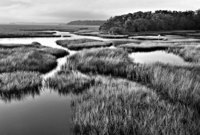 Photographs Copyright 2010 Will Dickey
