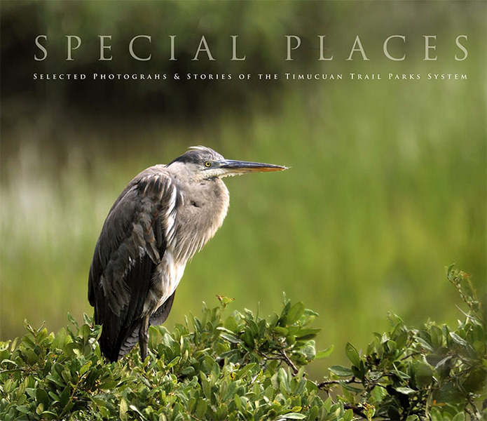Special Places, a coffee table book of stories about the Timucuan Trail parks with photographs by Will Dickey : Special Places Photo Book : Will Dickey Florida Fine Art Nature and Wildlife Photography - Images of Florida's First Coast - Nature and Landscape Photographs of Jacksonville, St. Augustine, Florida nature preserves