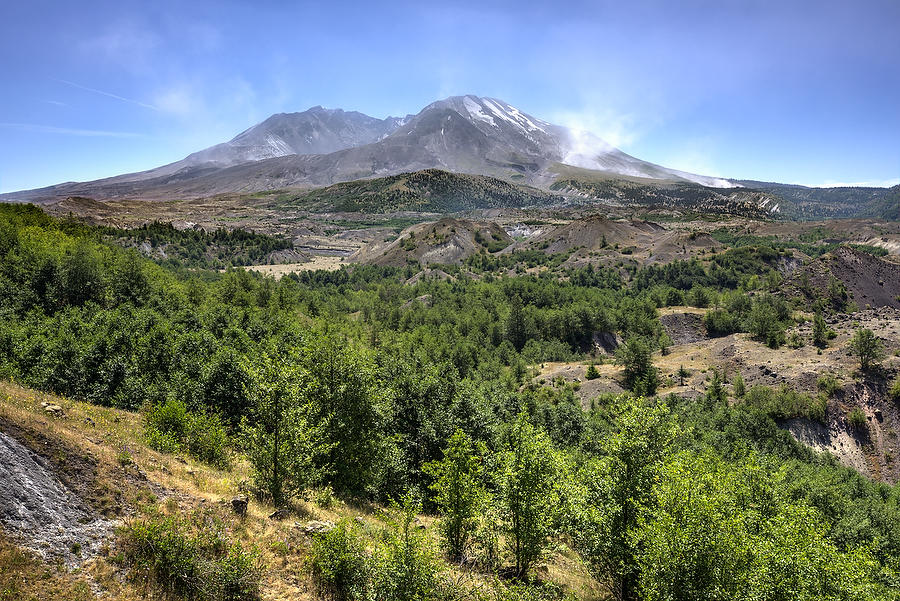 Mount St. Helens 070515-112 : Pacific Northwest  : Will Dickey Florida Fine Art Nature and Wildlife Photography - Images of Florida's First Coast - Nature and Landscape Photographs of Jacksonville, St. Augustine, Florida nature preserves