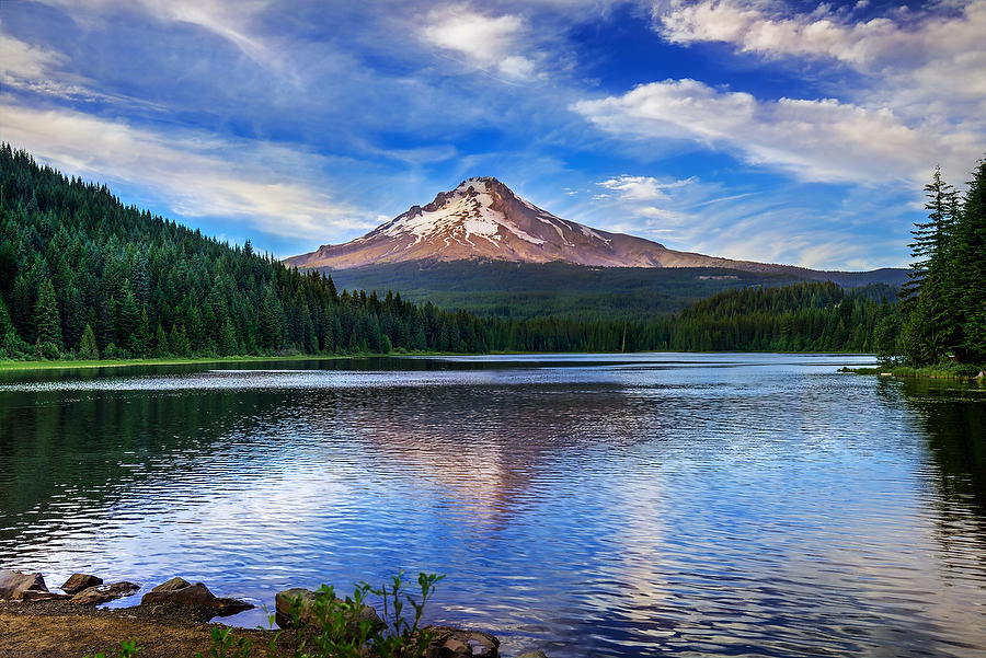 Mt. Hood Trillium Lake
070415-1 : Pacific Northwest  : Will Dickey Florida Fine Art Nature and Wildlife Photography - Images of Florida's First Coast - Nature and Landscape Photographs of Jacksonville, St. Augustine, Florida nature preserves