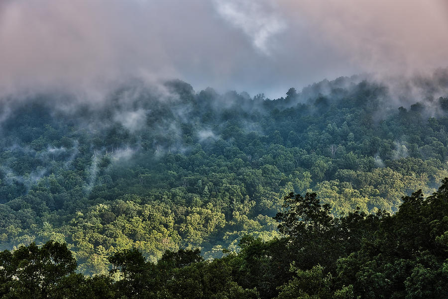 Pisgah Mountain Mist 072917-153  : Appalachian Mountains : Will Dickey Florida Fine Art Nature and Wildlife Photography - Images of Florida's First Coast - Nature and Landscape Photographs of Jacksonville, St. Augustine, Florida nature preserves