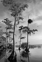 Photographs Copyright 2010 Will Dickey