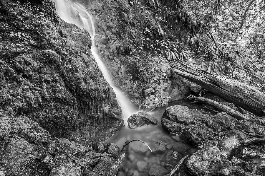 Merriman Falls      070715-61BW : Black and White : Will Dickey Florida Fine Art Nature and Wildlife Photography - Images of Florida's First Coast - Nature and Landscape Photographs of Jacksonville, St. Augustine, Florida nature preserves