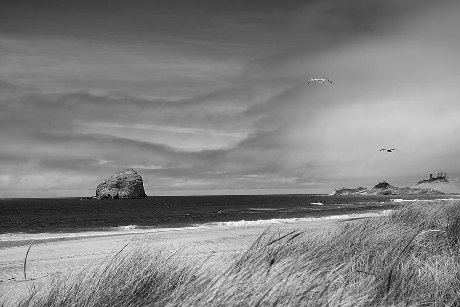 Haystack Rock, Oregon 070615-100BW : Black and White : Will Dickey Florida Fine Art Nature and Wildlife Photography - Images of Florida's First Coast - Nature and Landscape Photographs of Jacksonville, St. Augustine, Florida nature preserves