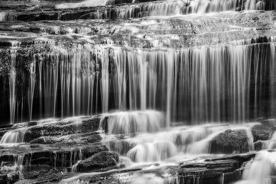 Pearsons Falls       072917-297BW : Black and White : Will Dickey Florida Fine Art Nature and Wildlife Photography - Images of Florida's First Coast - Nature and Landscape Photographs of Jacksonville, St. Augustine, Florida nature preserves