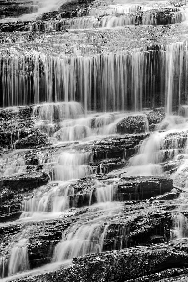 Pearsons Falls       072917-301BW : Black and White : Will Dickey Florida Fine Art Nature and Wildlife Photography - Images of Florida's First Coast - Nature and Landscape Photographs of Jacksonville, St. Augustine, Florida nature preserves