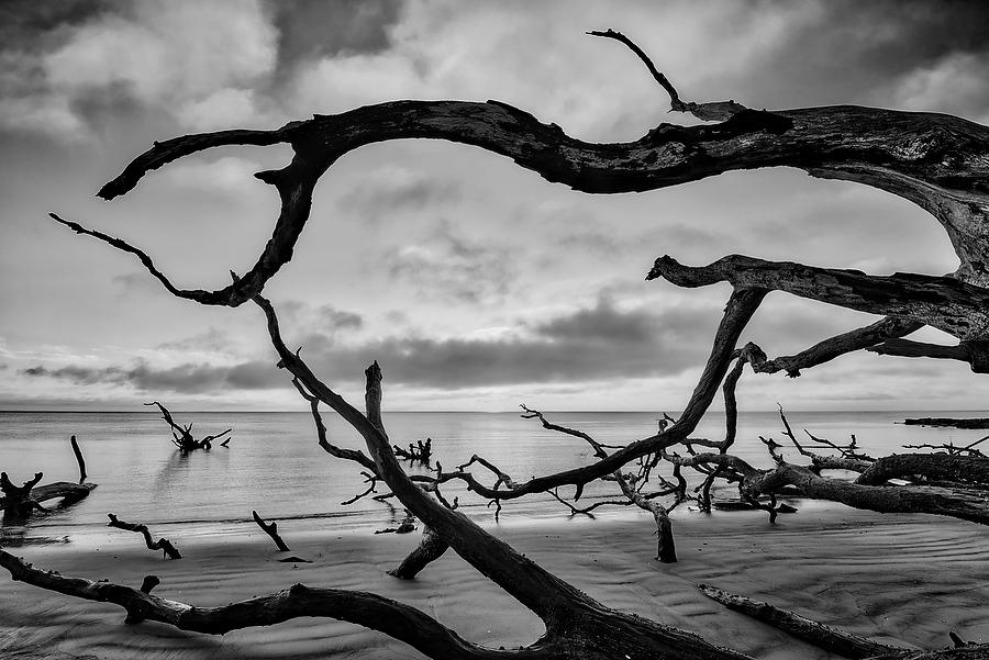 Big Talbot Sunrise 061717-82BW : Black and White : Will Dickey Florida Fine Art Nature and Wildlife Photography - Images of Florida's First Coast - Nature and Landscape Photographs of Jacksonville, St. Augustine, Florida nature preserves