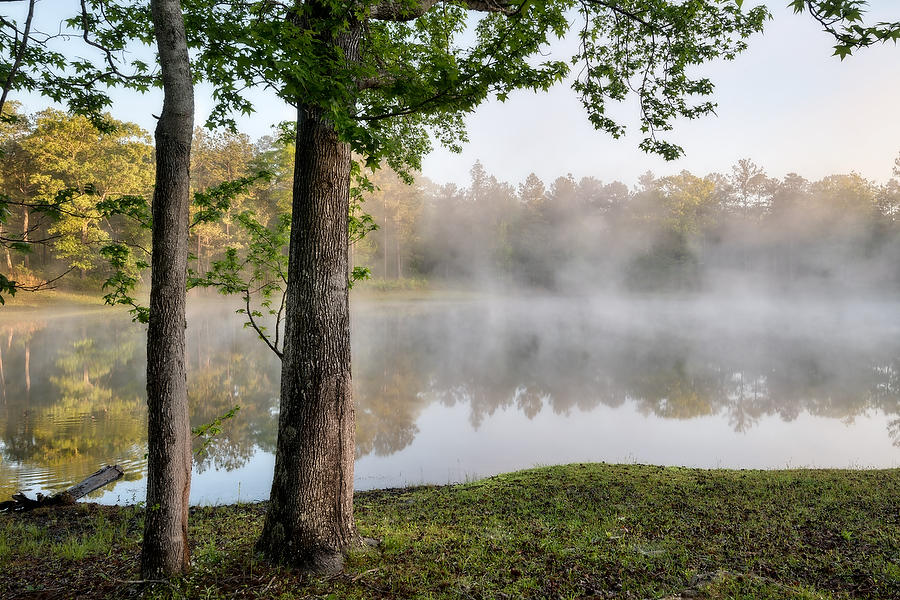 Camp Pond Mist   041519-4 : Waterways and Woods  : Will Dickey Florida Fine Art Nature and Wildlife Photography - Images of Florida's First Coast - Nature and Landscape Photographs of Jacksonville, St. Augustine, Florida nature preserves