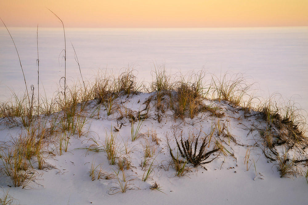 Destin Dune and Gulf 122820-239 : Beaches : Will Dickey Florida Fine Art Nature and Wildlife Photography - Images of Florida's First Coast - Nature and Landscape Photographs of Jacksonville, St. Augustine, Florida nature preserves