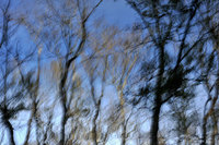 Photographs Copyright 2010 Will Dickey