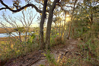 Photographs Copyright 2010 Will Dickey