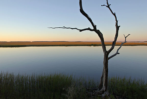 Tiger Point Dusk 
113003-A2 : St. Johns River : Will Dickey Florida Fine Art Nature and Wildlife Photography - Images of Florida's First Coast - Nature and Landscape Photographs of Jacksonville, St. Augustine, Florida nature preserves