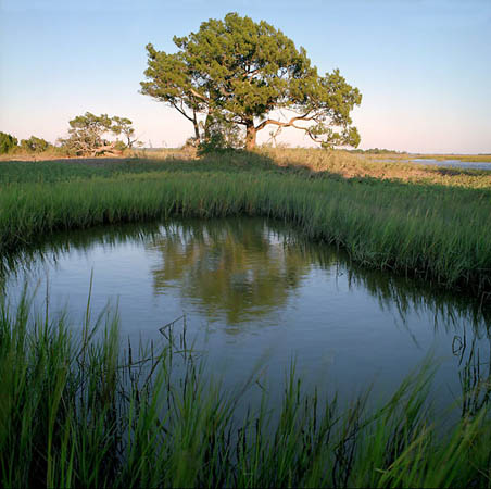 Cedar Point Pool 
103001-A5 : St. Johns River : Will Dickey Florida Fine Art Nature and Wildlife Photography - Images of Florida's First Coast - Nature and Landscape Photographs of Jacksonville, St. Augustine, Florida nature preserves