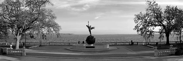 Memorial Park, Jacksonville 032405-P-BW : Black and White : Will Dickey Florida Fine Art Nature and Wildlife Photography - Images of Florida's First Coast - Nature and Landscape Photographs of Jacksonville, St. Augustine, Florida nature preserves