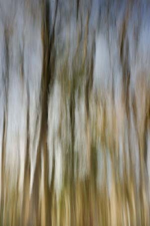 Julington Creek Reflections
123009-44 : Abstract Realities : Will Dickey Florida Fine Art Nature and Wildlife Photography - Images of Florida's First Coast - Nature and Landscape Photographs of Jacksonville, St. Augustine, Florida nature preserves