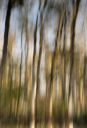 Julington Creek Reflections
123009-120 : Abstract Realities : Will Dickey Florida Fine Art Nature and Wildlife Photography - Images of Florida's First Coast - Nature and Landscape Photographs of Jacksonville, St. Augustine, Florida nature preserves