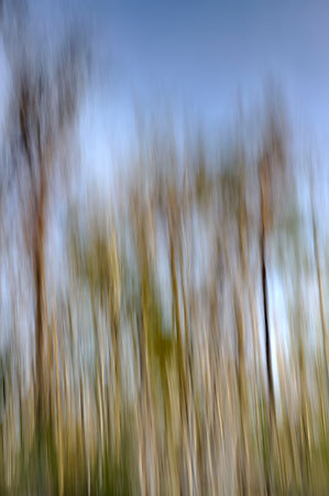 Julington Creek Reflections
123009-149 : Abstract Realities : Will Dickey Florida Fine Art Nature and Wildlife Photography - Images of Florida's First Coast - Nature and Landscape Photographs of Jacksonville, St. Augustine, Florida nature preserves