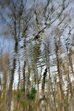 Julington Creek Reflections
123009-76 : Abstract Realities : Will Dickey Florida Fine Art Nature and Wildlife Photography - Images of Florida's First Coast - Nature and Landscape Photographs of Jacksonville, St. Augustine, Florida nature preserves