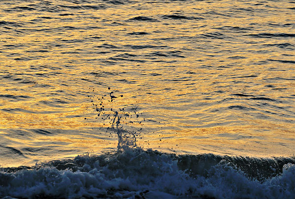 Sunrise Splash
032911-24 : Abstract Realities : Will Dickey Florida Fine Art Nature and Wildlife Photography - Images of Florida's First Coast - Nature and Landscape Photographs of Jacksonville, St. Augustine, Florida nature preserves