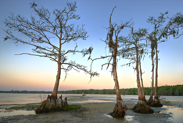 Colee Cove Sand Bar
031009-161 : St. Johns River : Will Dickey Florida Fine Art Nature and Wildlife Photography - Images of Florida's First Coast - Nature and Landscape Photographs of Jacksonville, St. Augustine, Florida nature preserves