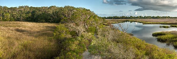 Round Marsh Point 
082411-P : St. Johns River : Will Dickey Florida Fine Art Nature and Wildlife Photography - Images of Florida's First Coast - Nature and Landscape Photographs of Jacksonville, St. Augustine, Florida nature preserves