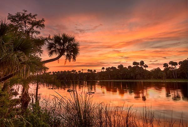 St Johns Sunset
082911-56 : St. Johns River : Will Dickey Florida Fine Art Nature and Wildlife Photography - Images of Florida's First Coast - Nature and Landscape Photographs of Jacksonville, St. Augustine, Florida nature preserves