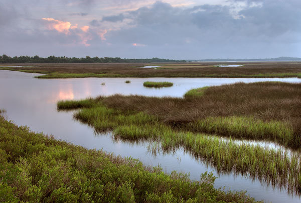 Round Marsh 
081906-1 : St. Johns River : Will Dickey Florida Fine Art Nature and Wildlife Photography - Images of Florida's First Coast - Nature and Landscape Photographs of Jacksonville, St. Augustine, Florida nature preserves