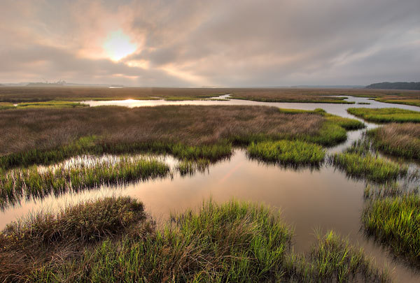 Round Marsh 
081906-19 : St. Johns River : Will Dickey Florida Fine Art Nature and Wildlife Photography - Images of Florida's First Coast - Nature and Landscape Photographs of Jacksonville, St. Augustine, Florida nature preserves