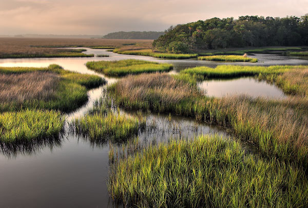 Round Marsh 
081906-44 : St. Johns River : Will Dickey Florida Fine Art Nature and Wildlife Photography - Images of Florida's First Coast - Nature and Landscape Photographs of Jacksonville, St. Augustine, Florida nature preserves