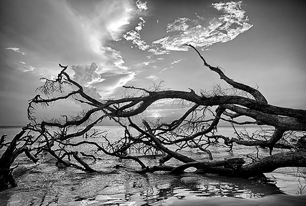 Big Talbot Sunrise
073012-34BW : Black and White : Will Dickey Florida Fine Art Nature and Wildlife Photography - Images of Florida's First Coast - Nature and Landscape Photographs of Jacksonville, St. Augustine, Florida nature preserves