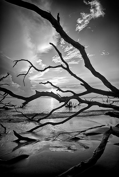 Big Talbot Sunrise
073012-97BW : Black and White : Will Dickey Florida Fine Art Nature and Wildlife Photography - Images of Florida's First Coast - Nature and Landscape Photographs of Jacksonville, St. Augustine, Florida nature preserves