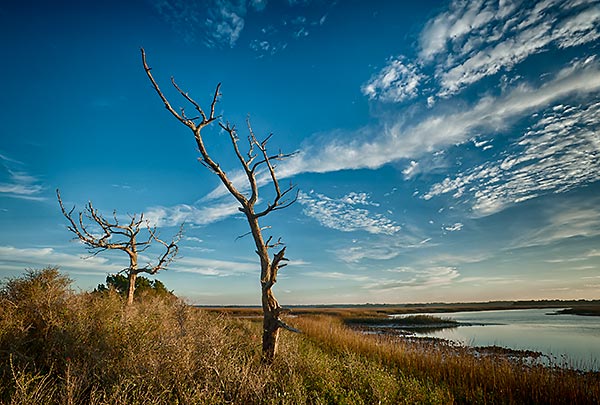 Cedar Point Horseshoe Creek
010513-172 : St. Johns River : Will Dickey Florida Fine Art Nature and Wildlife Photography - Images of Florida's First Coast - Nature and Landscape Photographs of Jacksonville, St. Augustine, Florida nature preserves