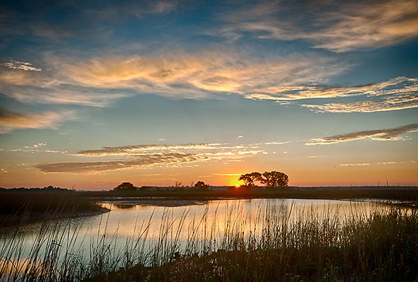 Cedar Point Sunrise 010513-46 : St. Johns River : Will Dickey Florida Fine Art Nature and Wildlife Photography - Images of Florida's First Coast - Nature and Landscape Photographs of Jacksonville, St. Augustine, Florida nature preserves