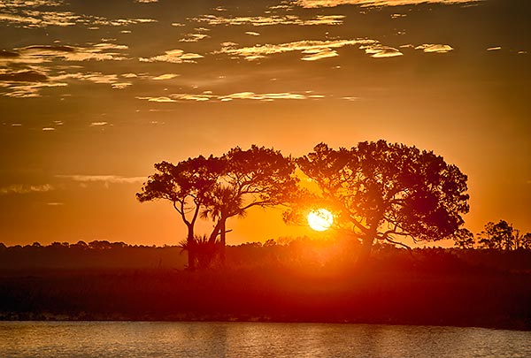 Cedar Point Sunrise
010513-55 : St. Johns River : Will Dickey Florida Fine Art Nature and Wildlife Photography - Images of Florida's First Coast - Nature and Landscape Photographs of Jacksonville, St. Augustine, Florida nature preserves