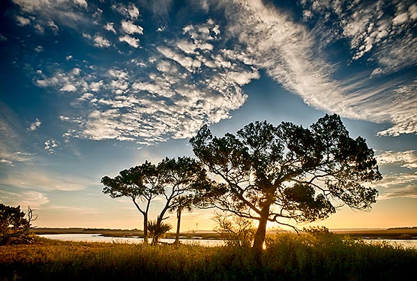 Cedar Point Sunrise
010513-118 : St. Johns River : Will Dickey Florida Fine Art Nature and Wildlife Photography - Images of Florida's First Coast - Nature and Landscape Photographs of Jacksonville, St. Augustine, Florida nature preserves