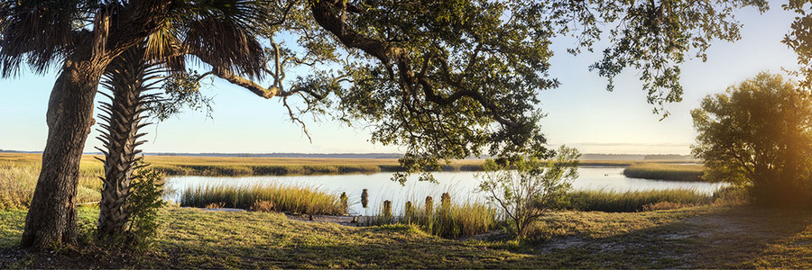 Cedar Point View
120114-110P : St. Johns River : Will Dickey Florida Fine Art Nature and Wildlife Photography - Images of Florida's First Coast - Nature and Landscape Photographs of Jacksonville, St. Augustine, Florida nature preserves