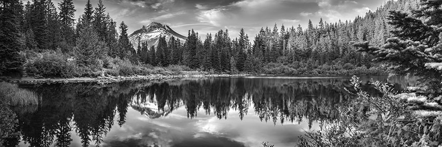 Mt. Hood
070415-34PBW : Black and White : Will Dickey Florida Fine Art Nature and Wildlife Photography - Images of Florida's First Coast - Nature and Landscape Photographs of Jacksonville, St. Augustine, Florida nature preserves