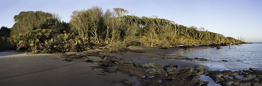 Blackrock Beach
030516-60P : Panoramas and Cityscapes : Will Dickey Florida Fine Art Nature and Wildlife Photography - Images of Florida's First Coast - Nature and Landscape Photographs of Jacksonville, St. Augustine, Florida nature preserves