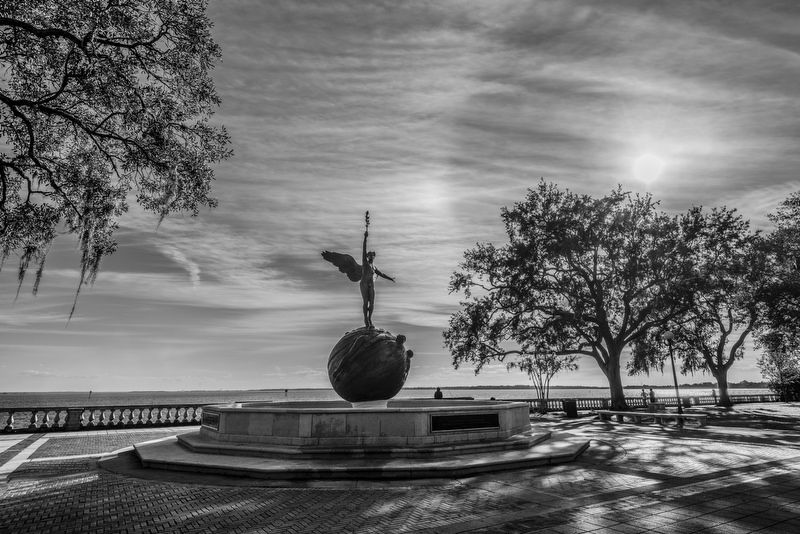 Memorial Park 
012616-6BW : Black and White : Will Dickey Florida Fine Art Nature and Wildlife Photography - Images of Florida's First Coast - Nature and Landscape Photographs of Jacksonville, St. Augustine, Florida nature preserves